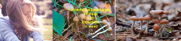 мефедрон мука Абинск