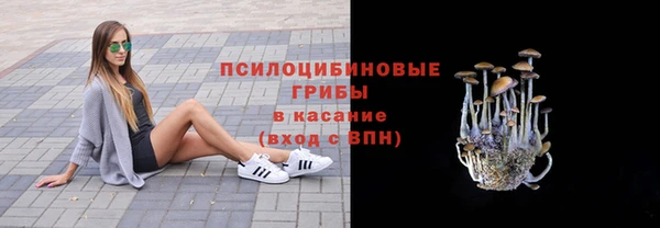 прущие крисы Абаза
