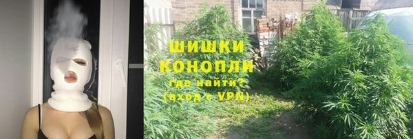 прущие крисы Абаза
