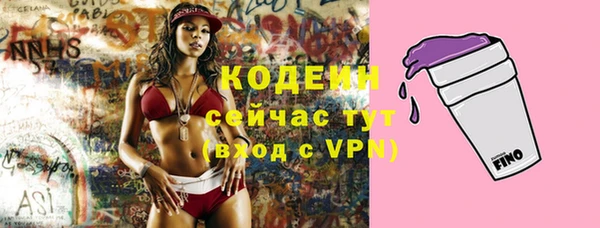 прущие крисы Абаза