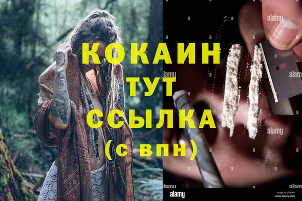 jwh Алзамай