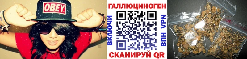 Псилоцибиновые грибы Magic Shrooms  хочу наркоту  Курчатов 